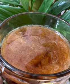 Mật ong dú thiên nhiên 16 Tệp 13