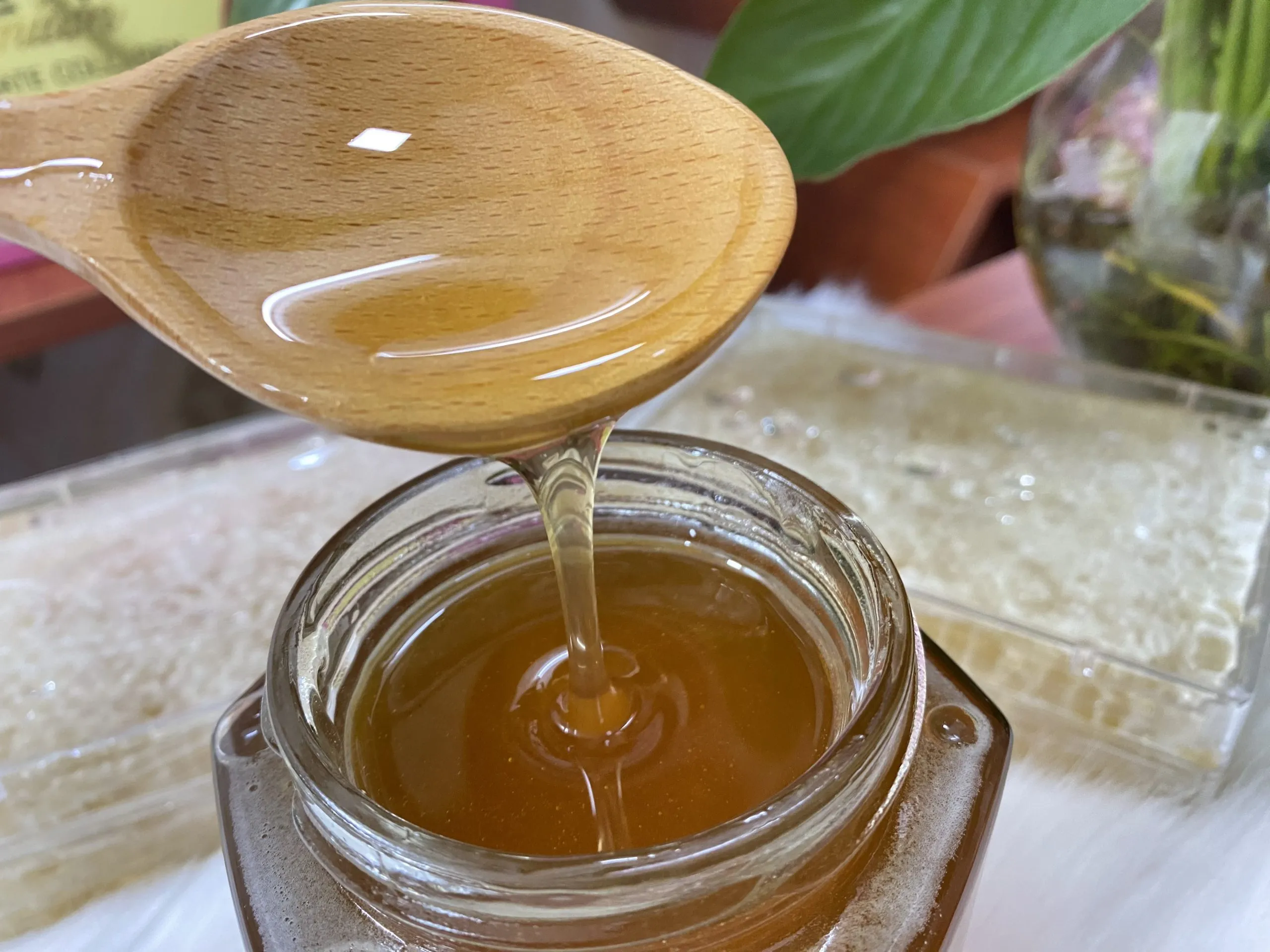 Z4096307679698_c67034112d8873ec36ccde6f1efa1838