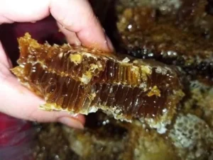 7d3e5b007a057bbae35aa026921e0fedmat Ong