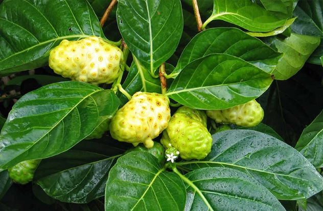 Anh Duoc Tao Boi Tranmaihuongskds Luc 4683923142691 1686213102699210254722