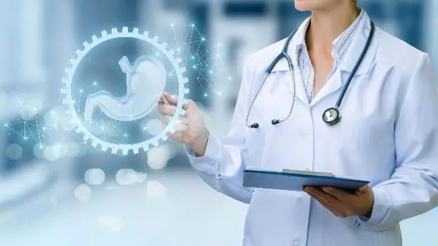 Photo 1679016229904 1679016230582550720641