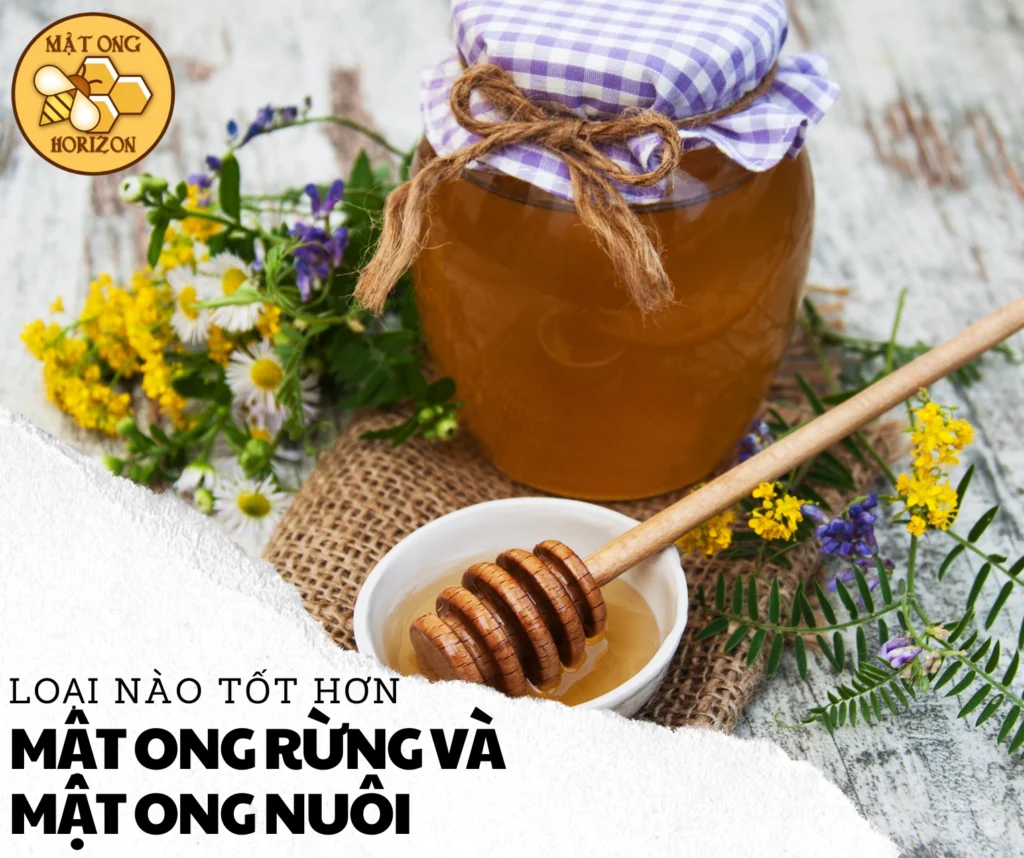 So sánh mật ong rừng và mật ong nuôi: Loại nào tốt hơn? 2 0192f9ef 2ab2 7571 Ad8d 3ccc9c34f6ea