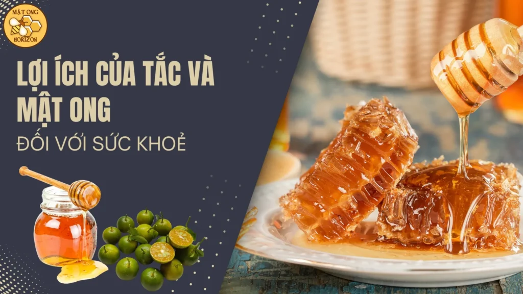 Tắc chưng mật ong: Bài thuốc thiên nhiên chữa ho hiệu quả 5 01930939 A07b 71ab B4f6 30be708ae2a2