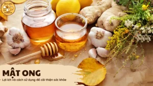 019309af C6bd 74ca 8b3d F2dc58cd2a26