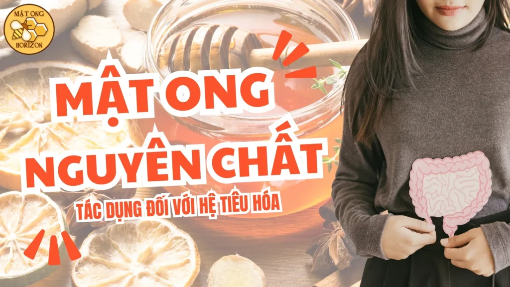 019327d1 Dcf8 7c3e 86a1 54afb67d6f79