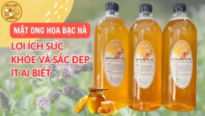 01933f02 Ef78 70a2 Aa9b Cb35979bb10d