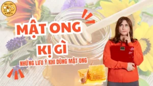 01934208 3a98 7000 B216 Dcd480ee2089