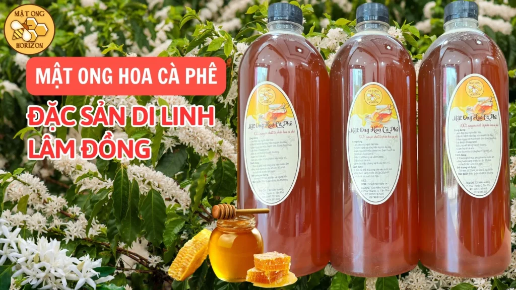 Mật ong hoa cà phê - Đặc sản Di Linh, Lâm Đồng 3 Mật ong hoa cà phê - Đặc sản Di Linh, Lâm Đồng