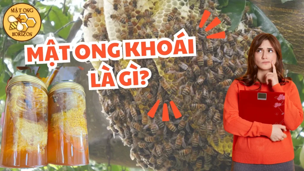 Tổ ong khoái kèm mật: Đặc sản tự nhiên giàu dinh dưỡng 4 Tổ ong khoái là gì?