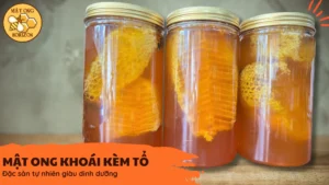 01935638_3c19_7e96_8785_f3621c0ce708