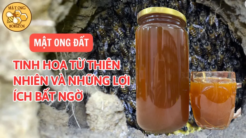 Mật ong đất: Tinh hoa từ thiên nhiên và những lợi ích bất ngờ 3 Mật ong đất: Tinh hoa từ thiên nhiên và những lợi ích bất ngờ
