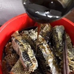 01936573_5a0c_7891_818c_54e22cf4a2c0