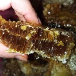 01936573_afd5_7ba0_a336_0a270f76fa6a