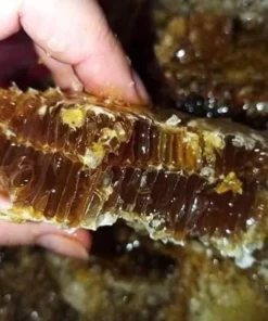 Mật ong đắng thiên nhiên 11 01936573_afd5_7ba0_a336_0a270f76fa6a