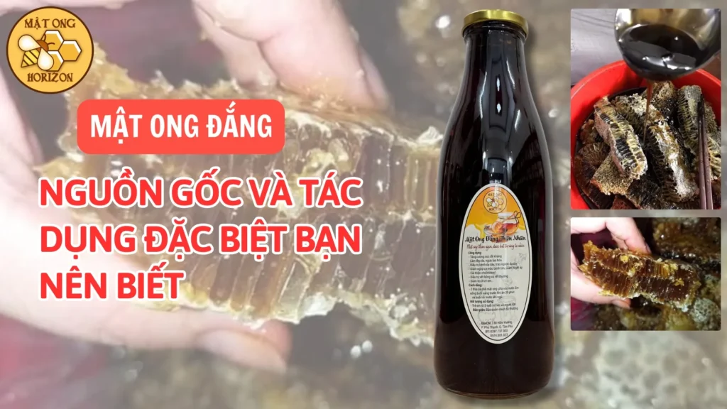 Mật ong đắng: Nguồn gốc và tác dụng đặc biệt bạn nên biết