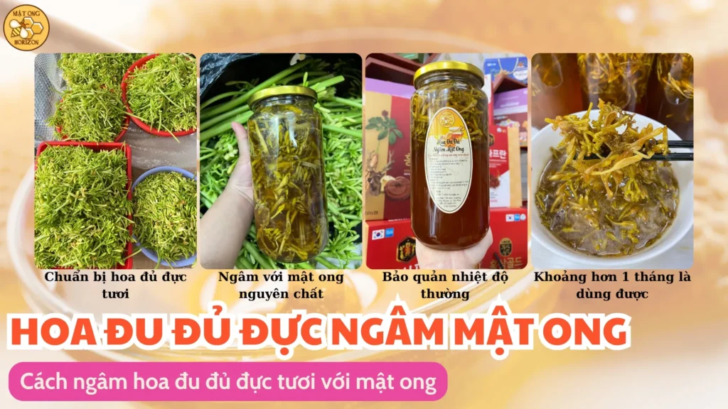 Hoa đu đủ đực ngâm mật ong có tác dụng gì 12 Cách ngâm hoa đu đủ đực với mật ong
