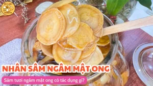 Sâm tươi ngâm mật ong có tác dụng gì