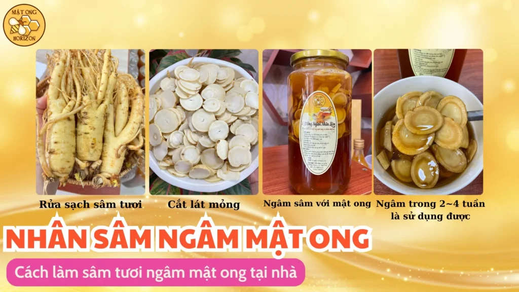 Sâm tươi ngâm mật ong có tác dụng gì 12 Cách làm sâm tươi ngâm mật ong tại nhà