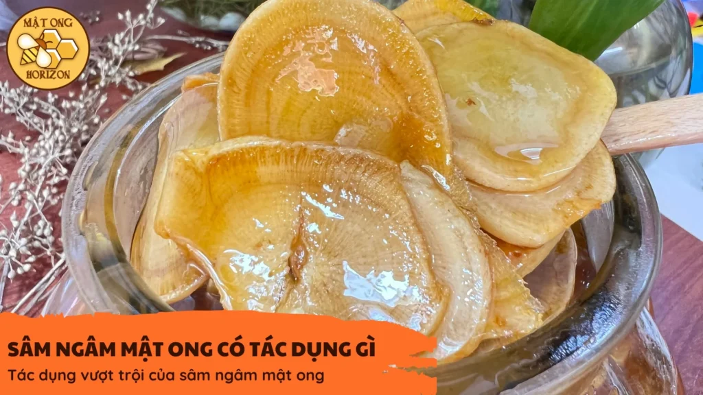 Tác dụng vượt trội của sâm ngâm mật ong