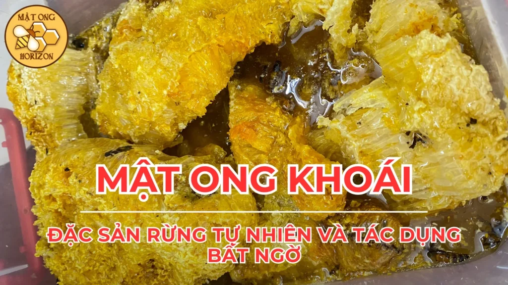 Mật ong khoái: Đặc sản rừng tự nhiên và tác dụng bất ngờ