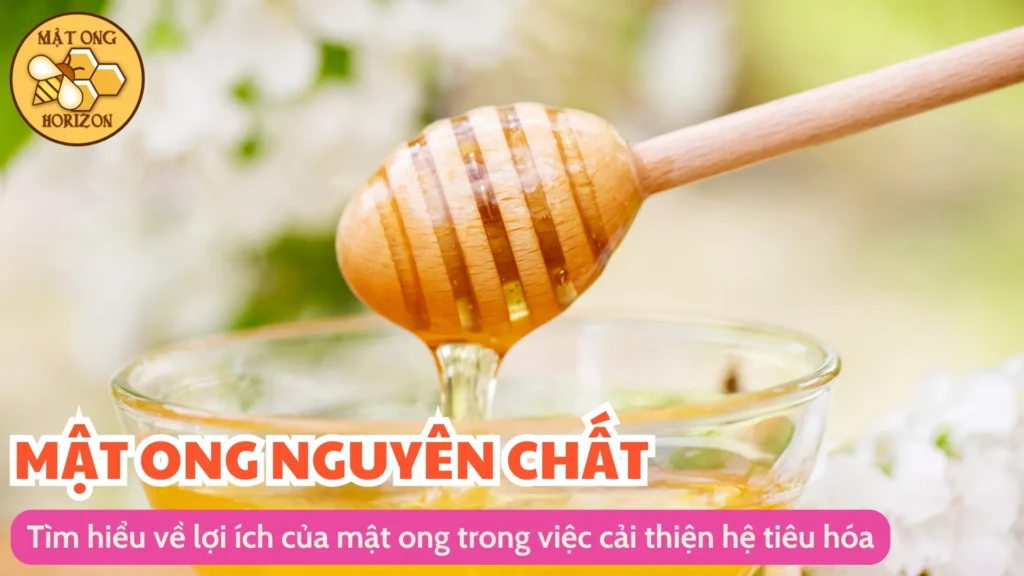 Tìm hiểu về lợi ích của mật ong trong việc cải thiện hệ tiêu hóa 7 Tìm hiểu về lợi ích của mật ong trong việc cải thiện hệ tiêu hóa