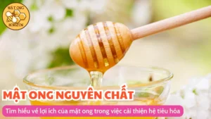 Tìm hiểu về lợi ích của mật ong trong việc cải thiện hệ tiêu hóa