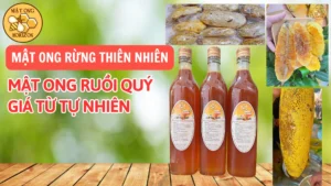 Mật ong rừng thiên nhiên – Mật ong ruồi quý giá từ tự nhiên