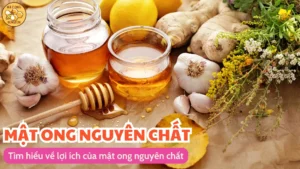 Tìm hiểu về lợi ích của mật ong nguyên chất