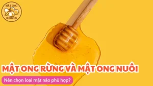 Nên chọn mật ong rừng hay mật ong nuôi?