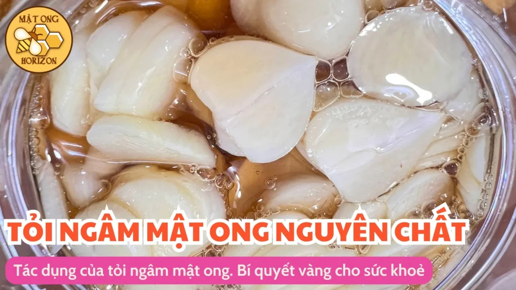 Tác dụng của tỏi ngâm mật ong: Bí quyết vàng cho sức khỏe 7 Tác dụng của tỏi ngâm mật ong: Bí quyết vàng cho sức khỏe