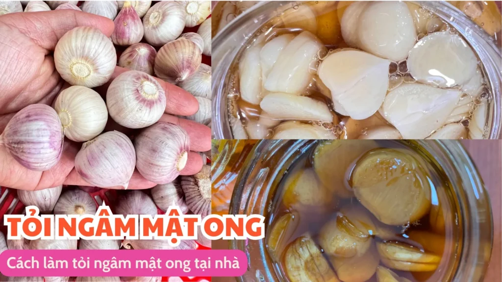 Tỏi ngâm mật ong - những lợi ích không ngờ tới 8 Cách làm tỏi ngâm mật ong tại nhà