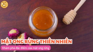 Khám phá đặc điểm của mật ong rừng