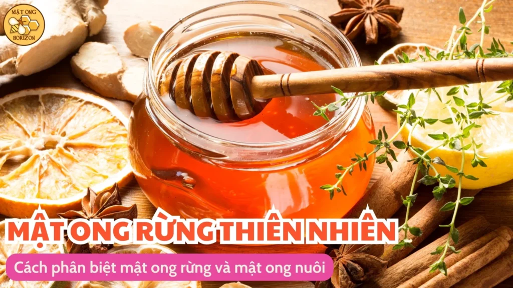 Khám phá đặc điểm của mật ong rừng 12 Cách phân biệt mật ong rừng và mật ong nuôi