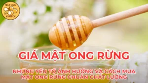 Giá mật ong rừng: Những yếu tố ảnh hưởng và cách mua mật ong rừng chuẩn chất lượng