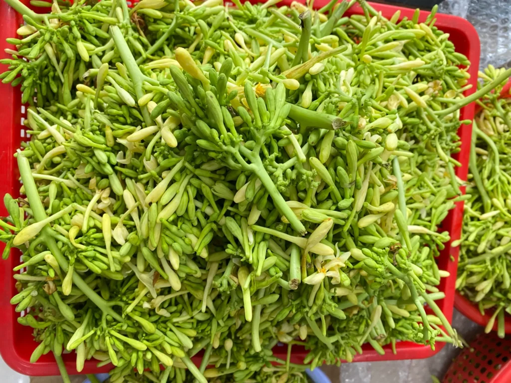 hoa đu đủ đực