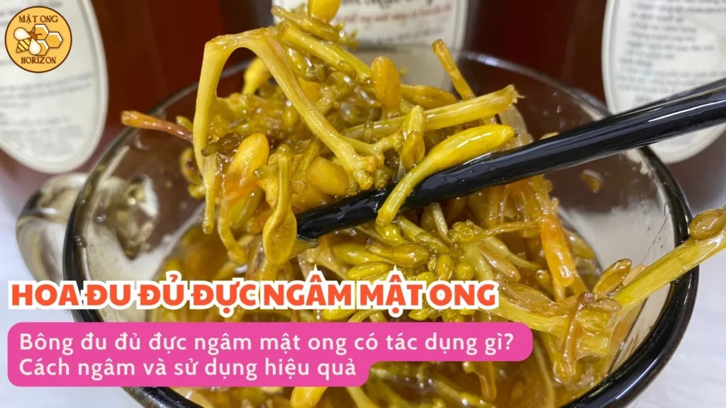 Bông đu đủ đực ngâm mật ong có tác dụng gì? Cách ngâm và sử dụng hiệu quả 7 Bông đu đủ đực ngâm mật ong có tác dụng gì? Cách ngâm và sử dụng hiệu quả