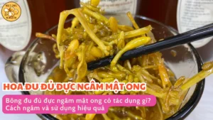 Bông đu đủ đực ngâm mật ong có tác dụng gì? Cách ngâm và sử dụng hiệu quả