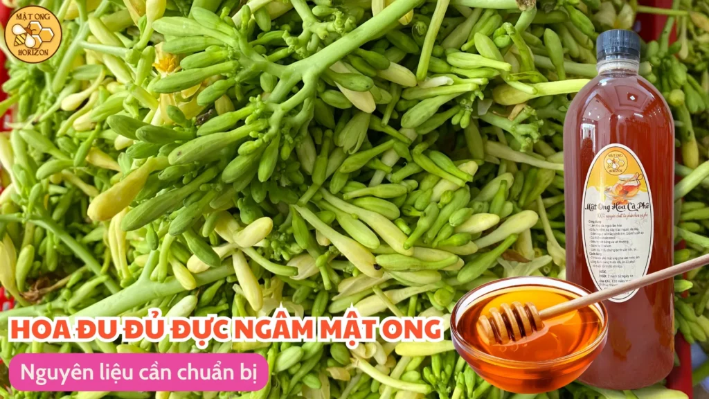 Bông đu đủ đực ngâm mật ong có tác dụng gì? Cách ngâm và sử dụng hiệu quả 9 Nguyên liệu cần chuẩn bị