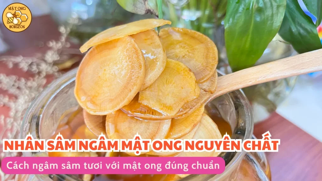 Cách ngâm sâm tươi với mật ong đúng chuẩn 8 Cách ngâm sâm tươi với mật ong đúng chuẩn