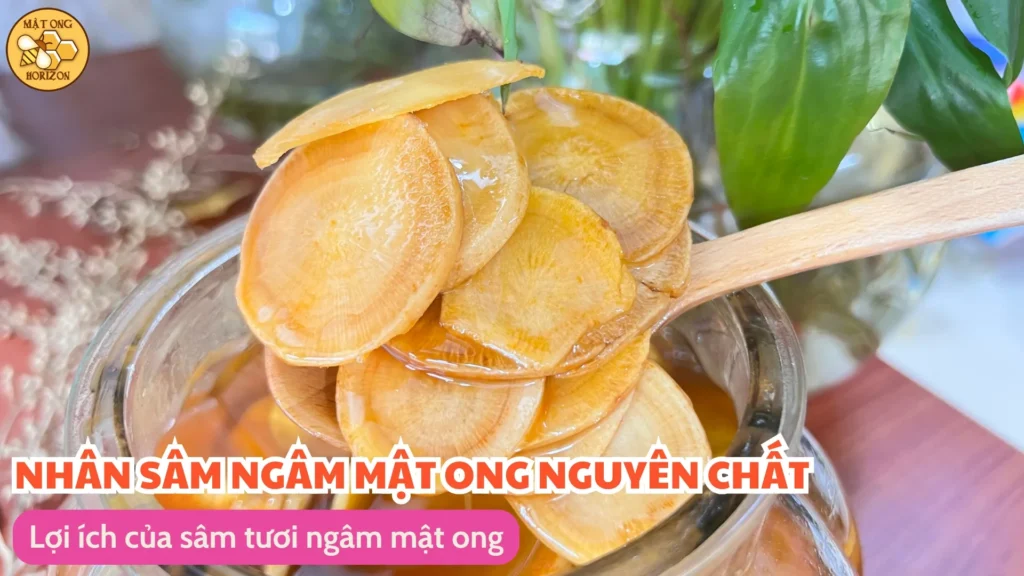 Cách ngâm sâm tươi với mật ong đúng chuẩn 9 Lợi ích của sâm tươi ngâm mật ong