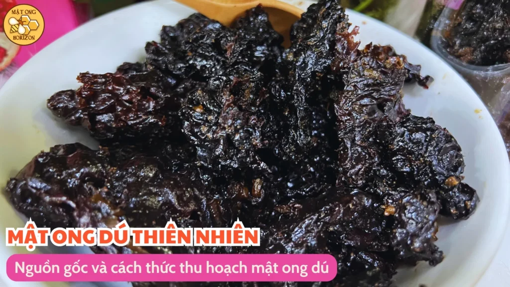 Mật ong dú: Giới thiệu về sản phẩm tự nhiên bổ dưỡng 11 Nguồn gốc và cách thức thu hoạch mật ong dú