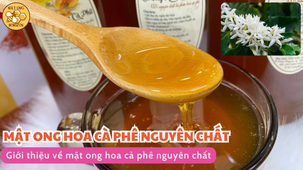 Mật ong hoa cà phê nguyên chất Di Linh, Lâm Đồng 8 Mật ong hoa cà phê nguyên chất Di Linh, Lâm Đồng