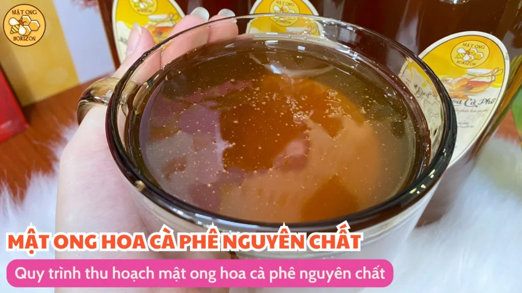 Mật ong hoa cà phê nguyên chất Di Linh, Lâm Đồng 11 Quy trình thu hoạch mật ong hoa cà phê nguyên chất