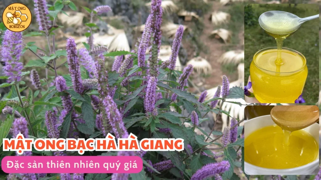 Mật ong bạc hà Hà Giang: Đặc sản thiên nhiên quý giá 8 Mật ong bạc hà Hà Giang: Đặc sản thiên nhiên quý giá
