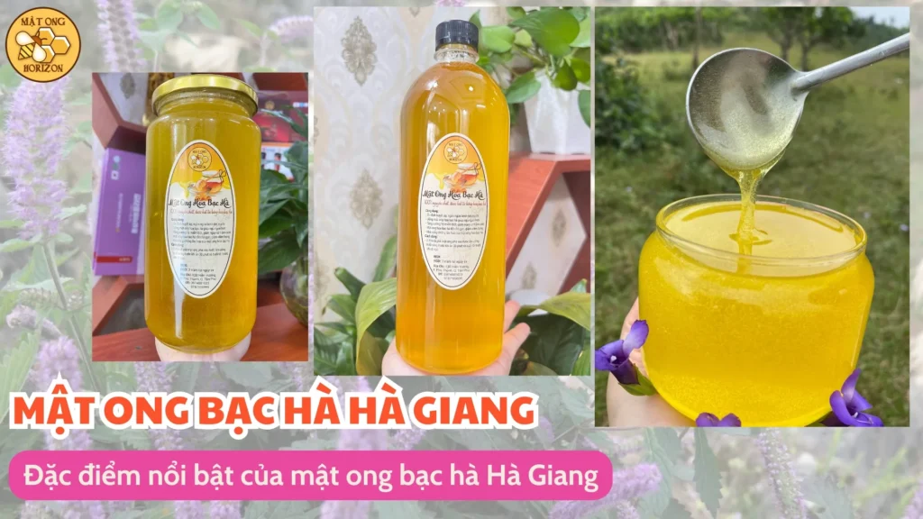 Mật ong bạc hà Hà Giang: Đặc sản thiên nhiên quý giá 9 Đặc điểm nổi bật của mật ong bạc hà Hà Giang