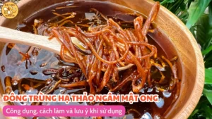 Đông trùng hạ thảo ngâm mật ong: Công dụng, cách làm và lưu ý khi sử dụng