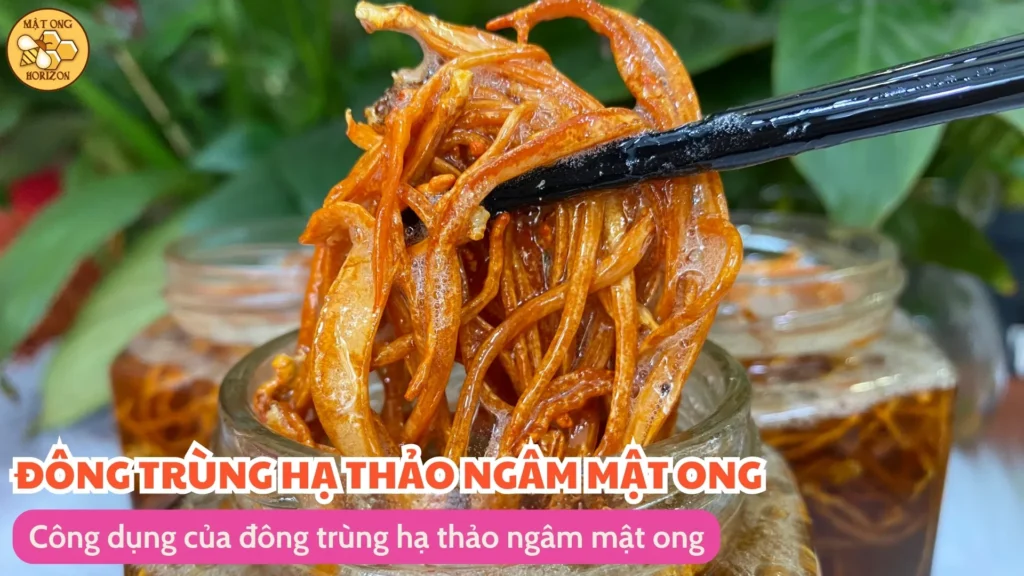 Đông trùng hạ thảo ngâm mật ong: Công dụng, cách làm và lưu ý khi sử dụng 10 Công dụng của đông trùng hạ thảo ngâm mật ong