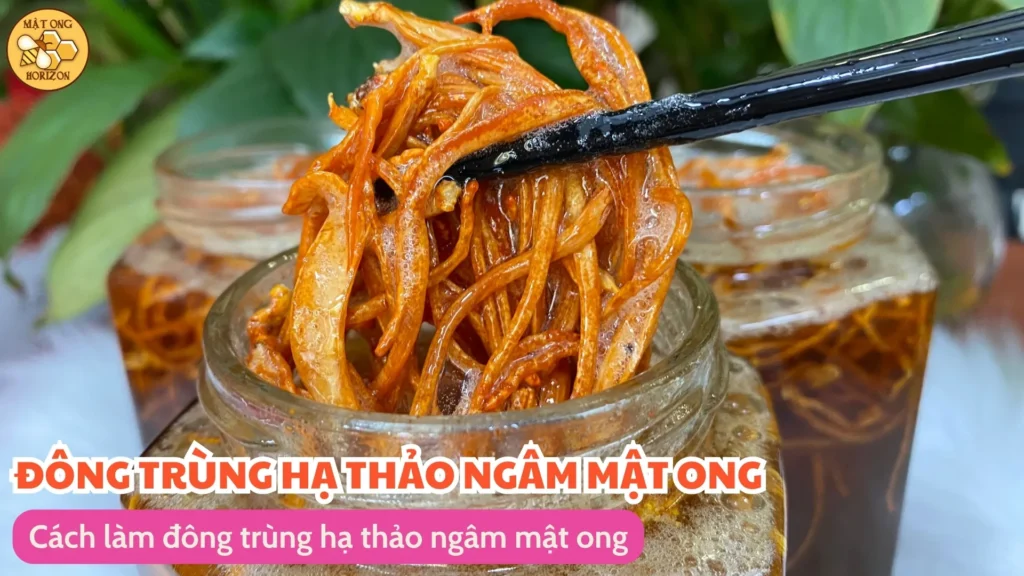 Đông trùng hạ thảo ngâm mật ong: Công dụng, cách làm và lưu ý khi sử dụng 11 Cách làm đông trùng hạ thảo ngâm mật ong