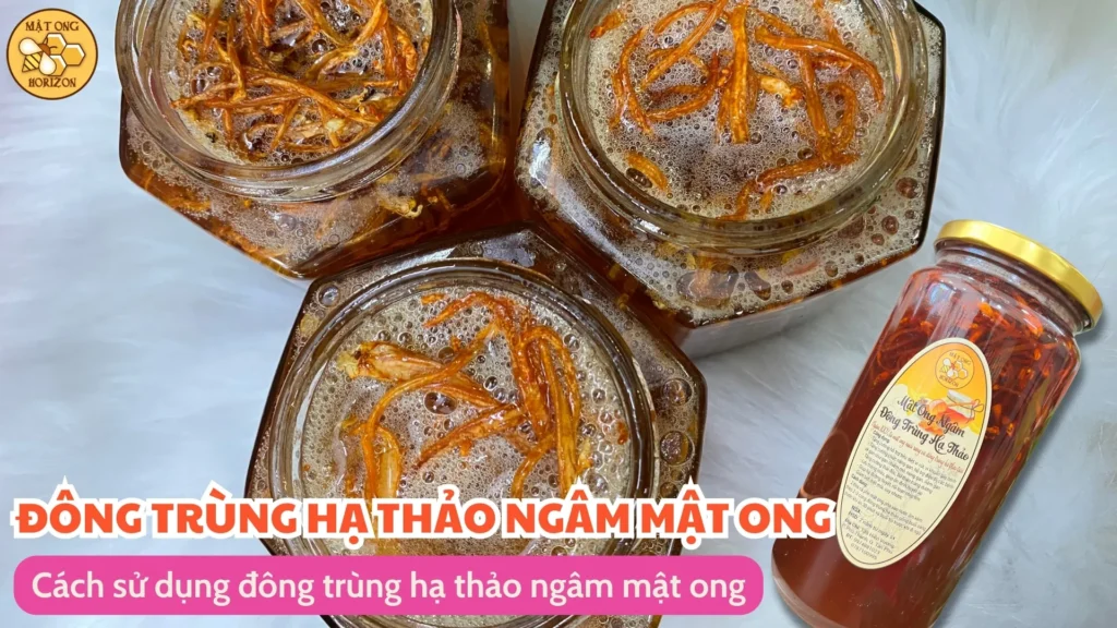 Đông trùng hạ thảo ngâm mật ong: Công dụng, cách làm và lưu ý khi sử dụng 12 Cách sử dụng đông trùng hạ thảo ngâm mật ong