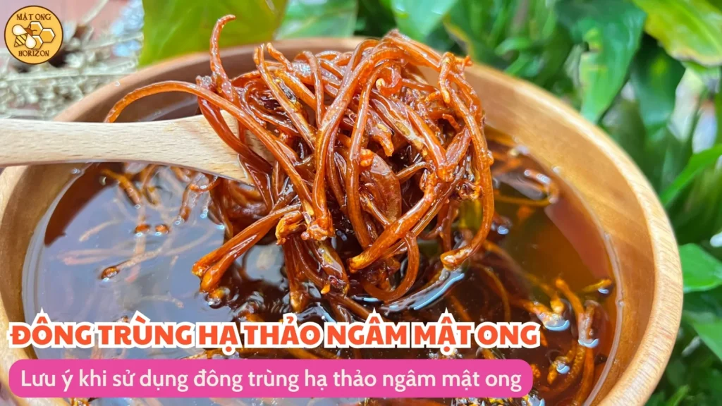 Đông trùng hạ thảo ngâm mật ong: Công dụng, cách làm và lưu ý khi sử dụng 13 Lưu ý khi sử dụng đông trùng hạ thảo ngâm mật ong